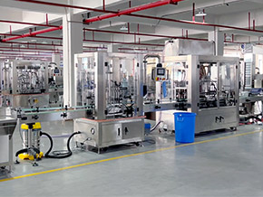 Landpack Automatic Filling Line Workshop