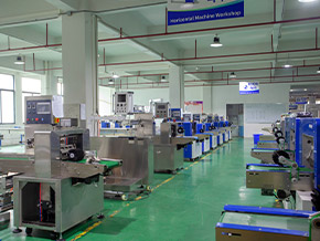 Landpack Flow Wrap Machine Workshop