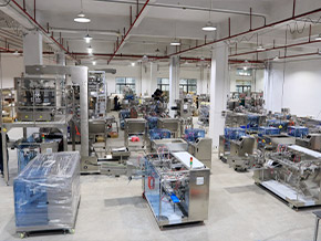 Landpack Premade Pouch Packing Machine Workshop