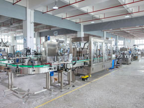Landpack Automatic Filling Line Workshop