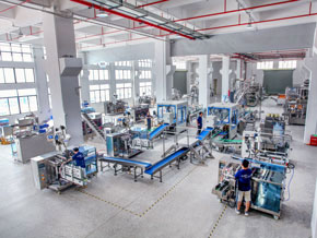 Landpack Premade Pouch Packing Machine Workshop