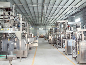 Landpack VFFS Machine Workshop