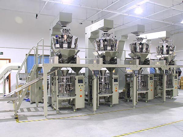 grain bagging machine