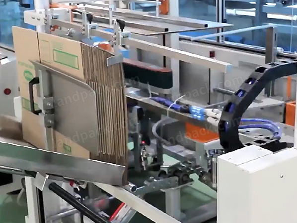 case packing system