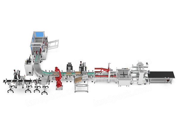 case packing system