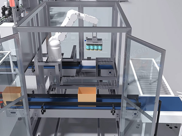 case packing system
