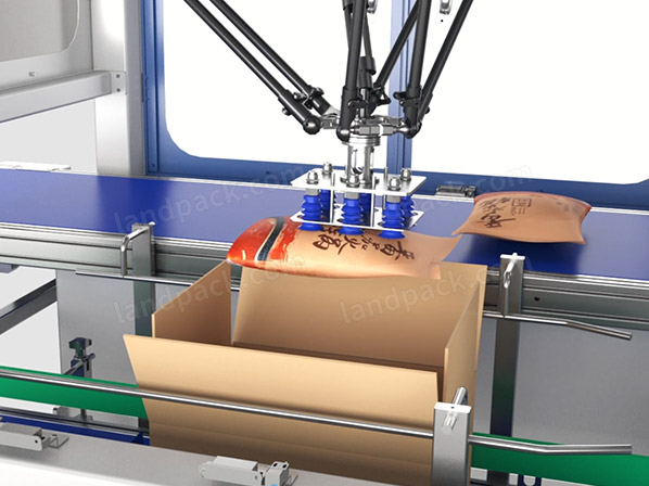 case packing system