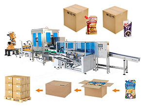 case packing robot