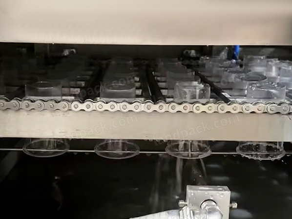 cup filling and sealing machine