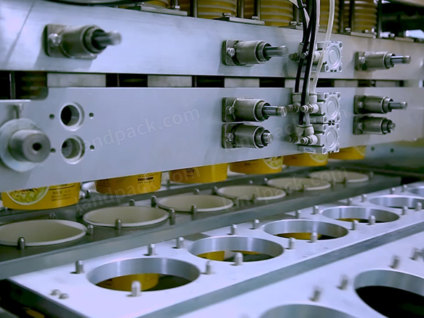 cup curd packing machine