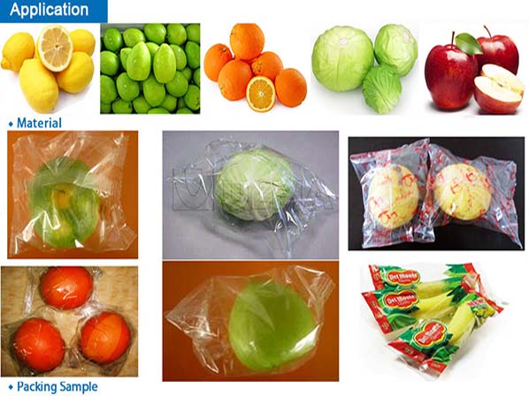 citrus packing machine