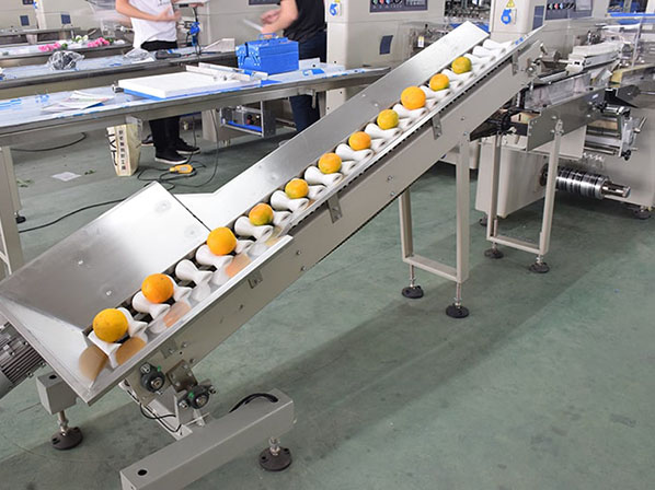 fruit and vegetable packaging equipment