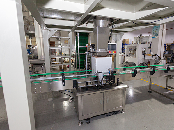 china bolt packing machine