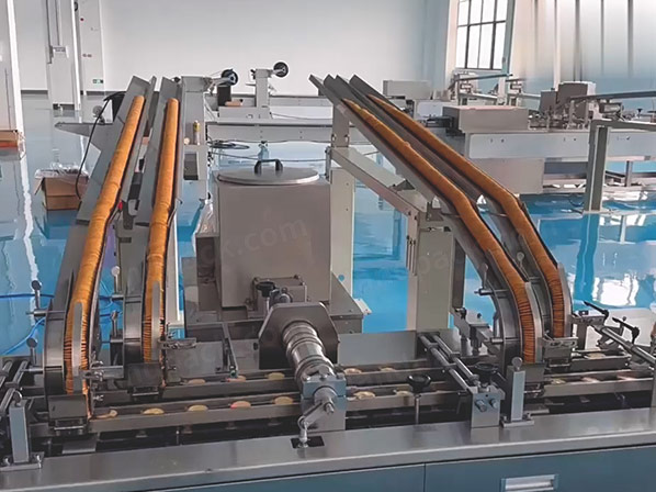 biscuit packing machine price