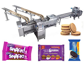 biscuit packing machine