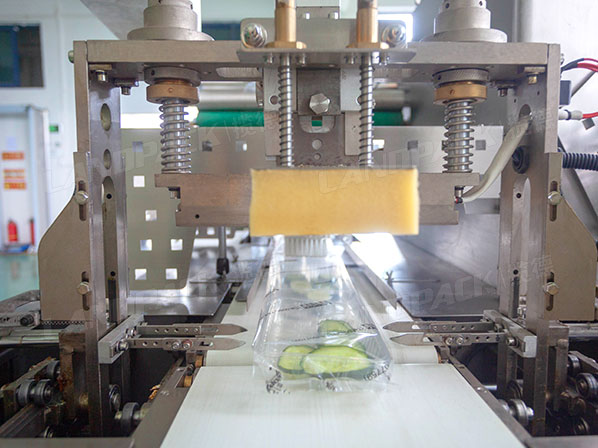 fruit and vegetable packaging machine