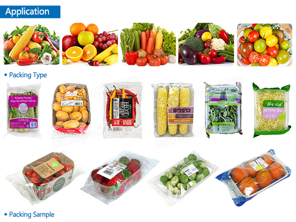 vegetable packing machine price