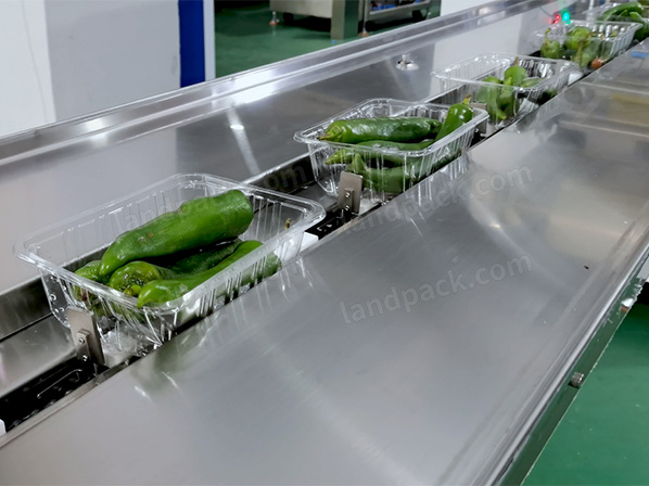 fruit and vegetable packaging machine