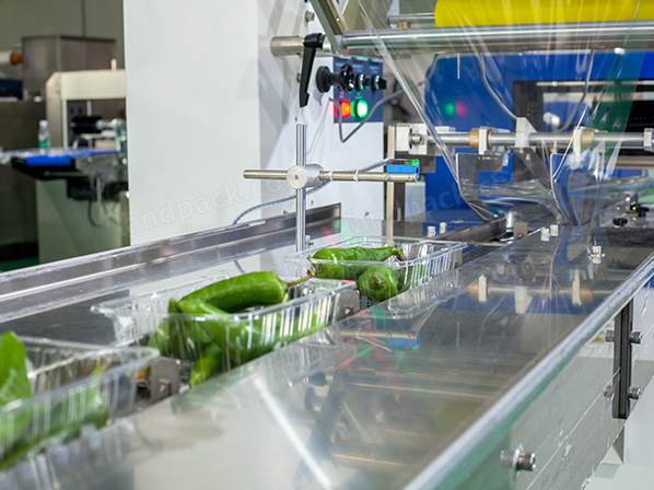 vegetable packaging equipment