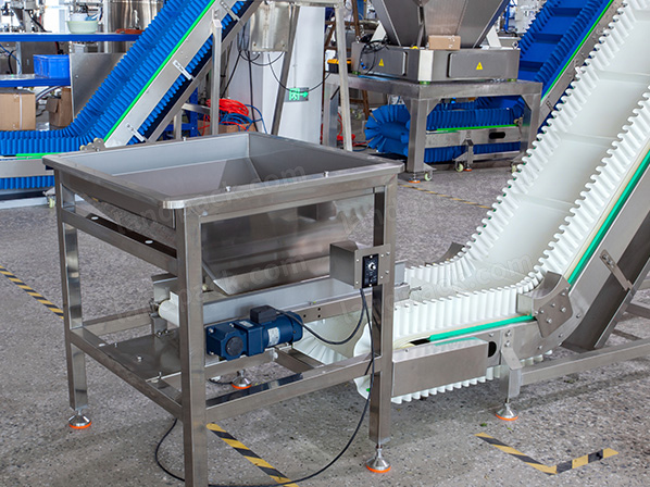 lettuce packaging machine