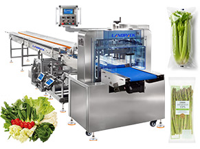 vegetable packing machine