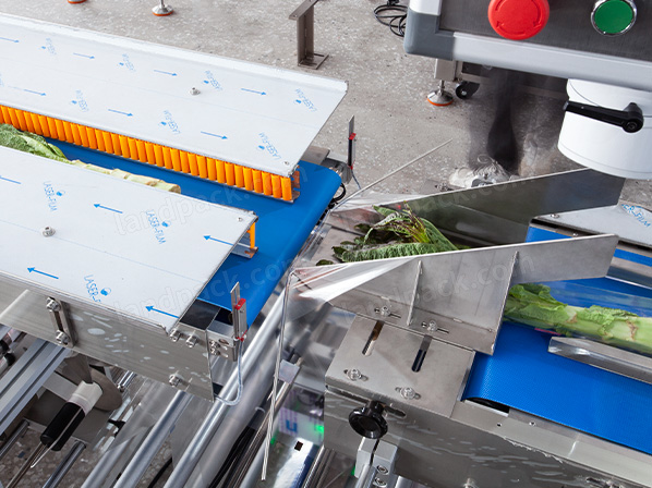 pepper packing machine