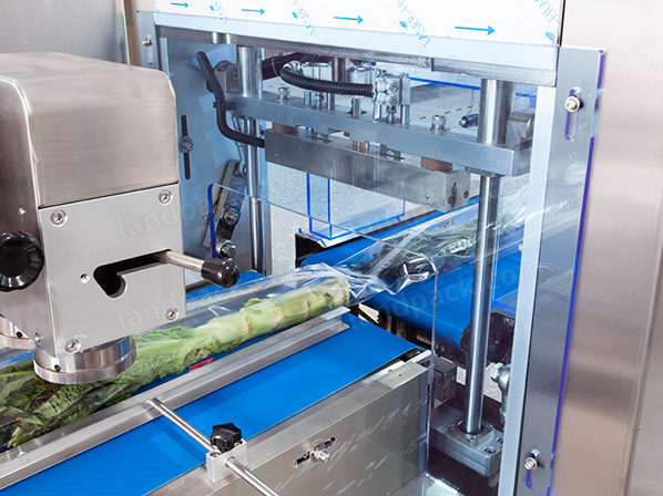 lettuce packaging machine