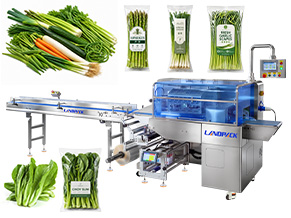 vegetable packing machine