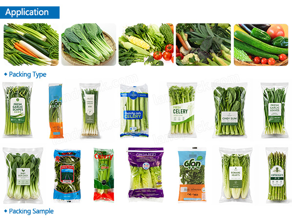 vegetable wrapping machine