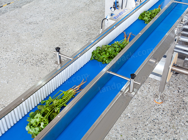 lettuce packaging machine