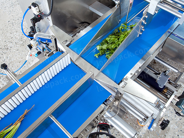 vegetable packing machine price