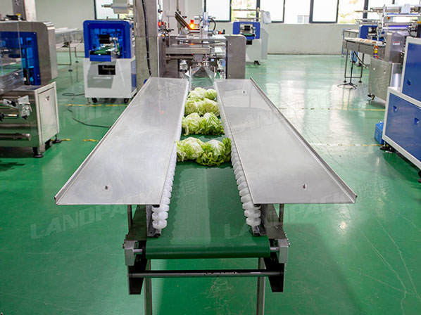 vegetable packaging machinery