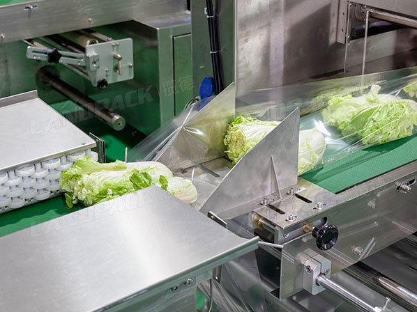 vegetable packing machine