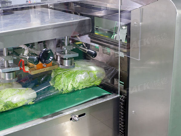 vegetable food packaging machine