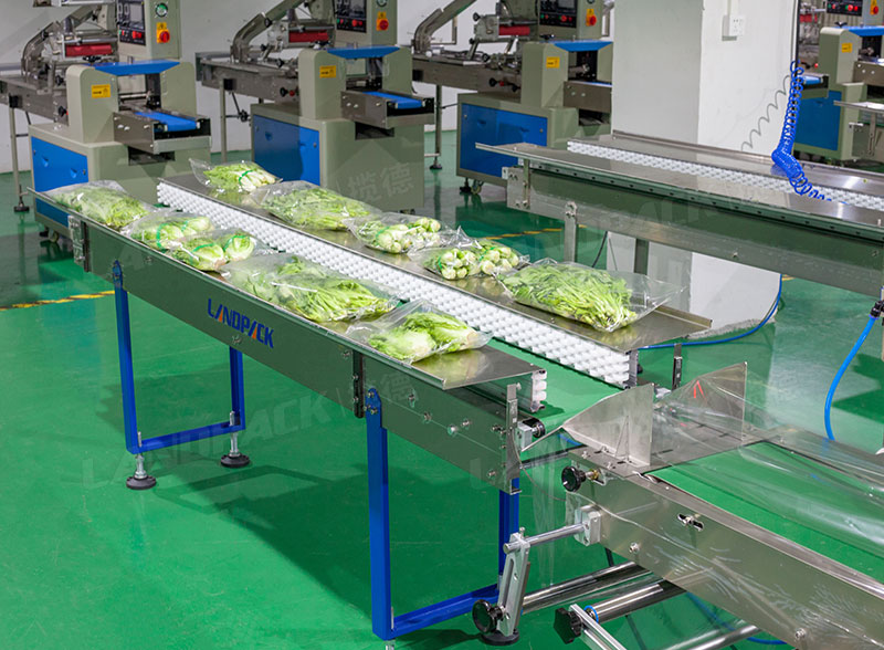 vegetable packaging machinery