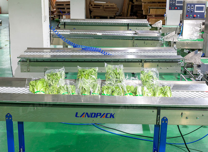 vegetable packing machine