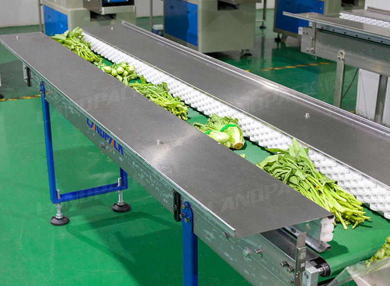 vegetable food packaging machine