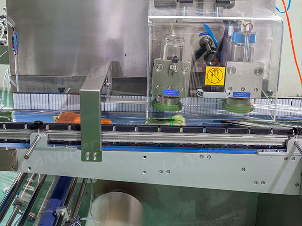 vegetable wrapping machine