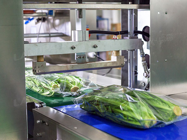 lettuce packaging machine