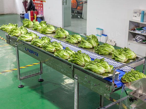 fresh vegetable packaging machine