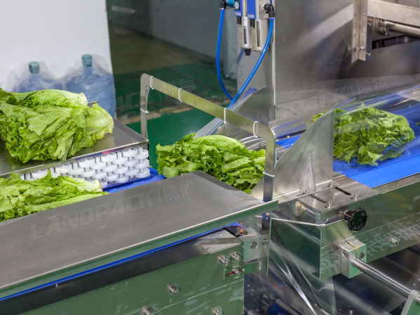 lettuce vegetable packaging machine