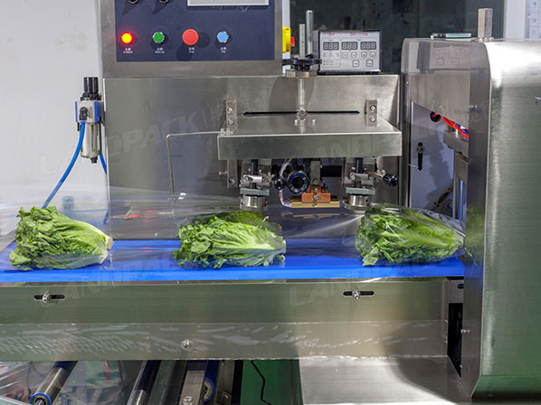 vegetable packing machine automatic