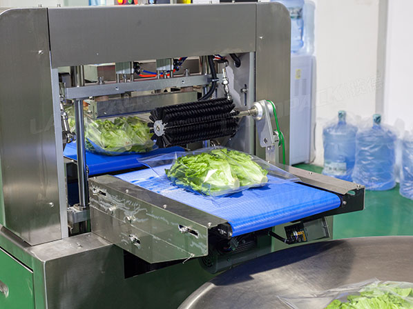 lettuce packaging machinery