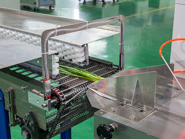 vegetable packing machine