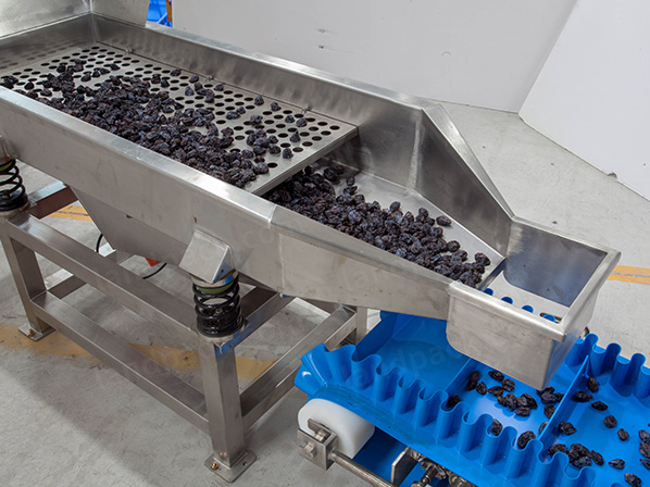 doypack packing machine