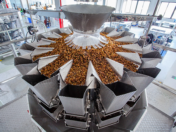 dry fruits packing machine price