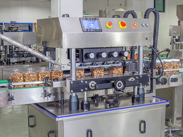 dry fruit packing machine