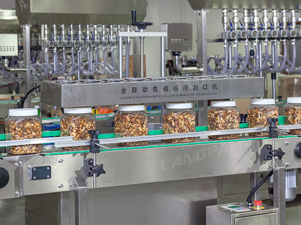 dry fruit filling machine