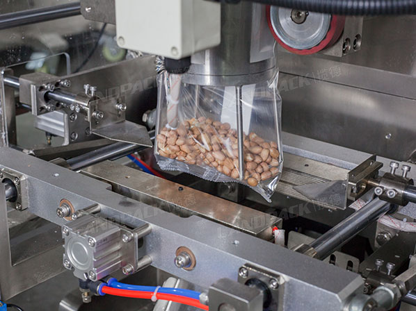 dry fruits packing machine price