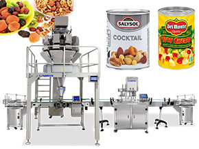 dry food packing machine